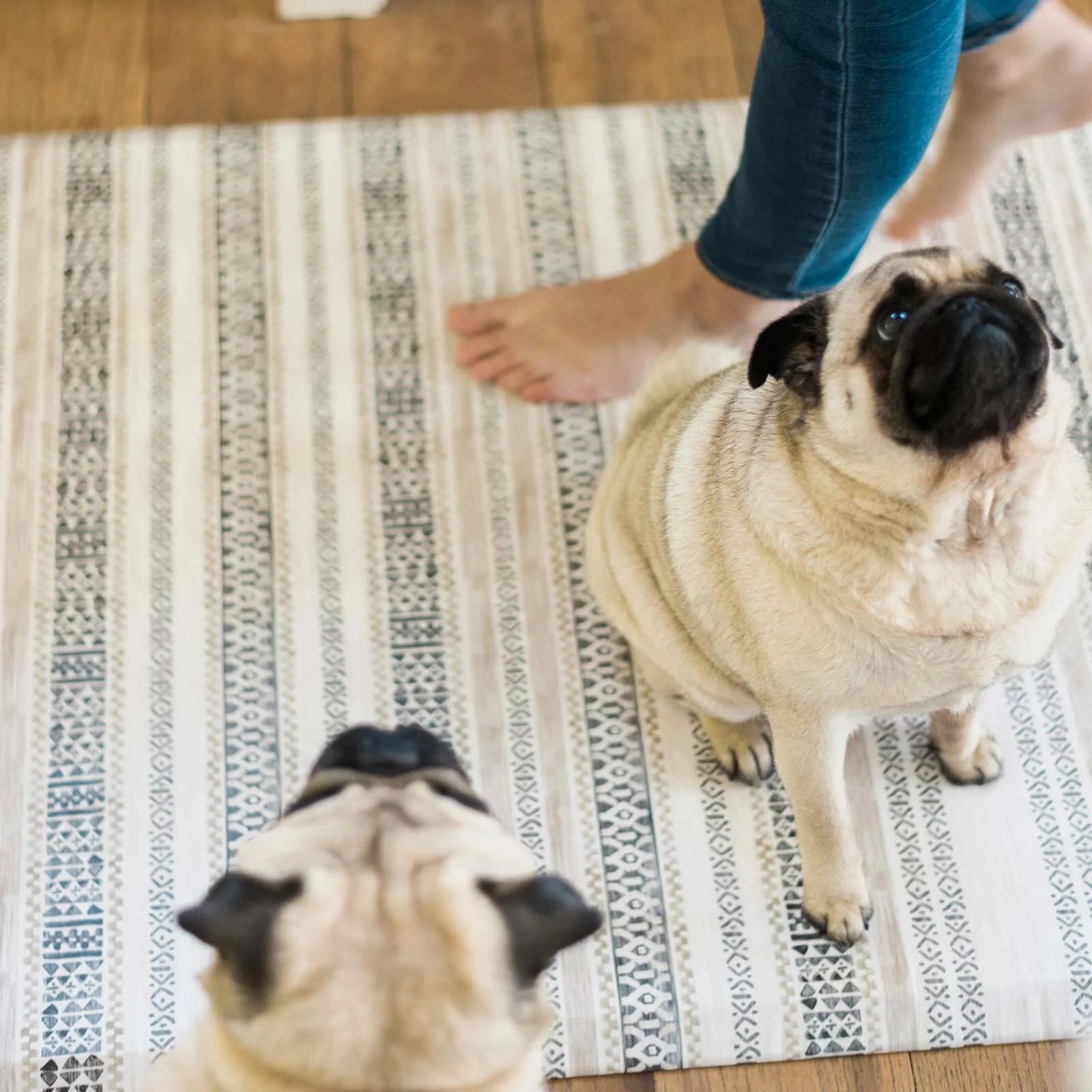 Paloma taupe and white boho stripe kitchen mat shown with 2 pugs and woman's feet standing on size 20x72