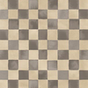 Checker in Mushroom