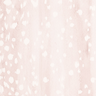 Fawn in Magnolia