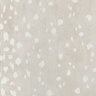 Fawn in Shea
